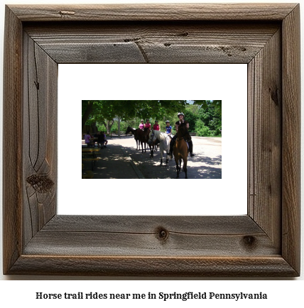 horse trail rides near me in Springfield, Pennsylvania